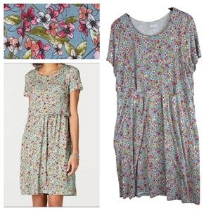 J Jill Sz XL Petite 14 16 XLP Dress Floral Blue Pink Stretch